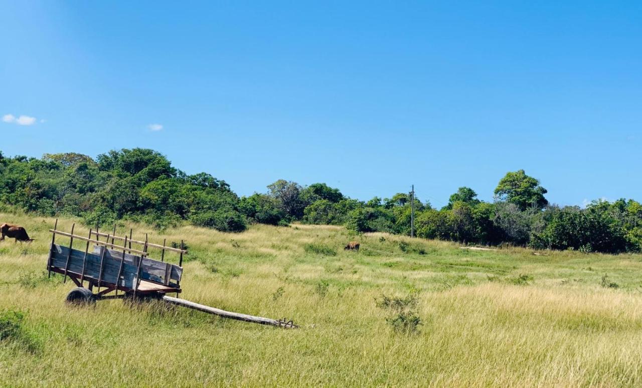 Vila Les Palmes Du Moulin Saint-Louis Exteriér fotografie